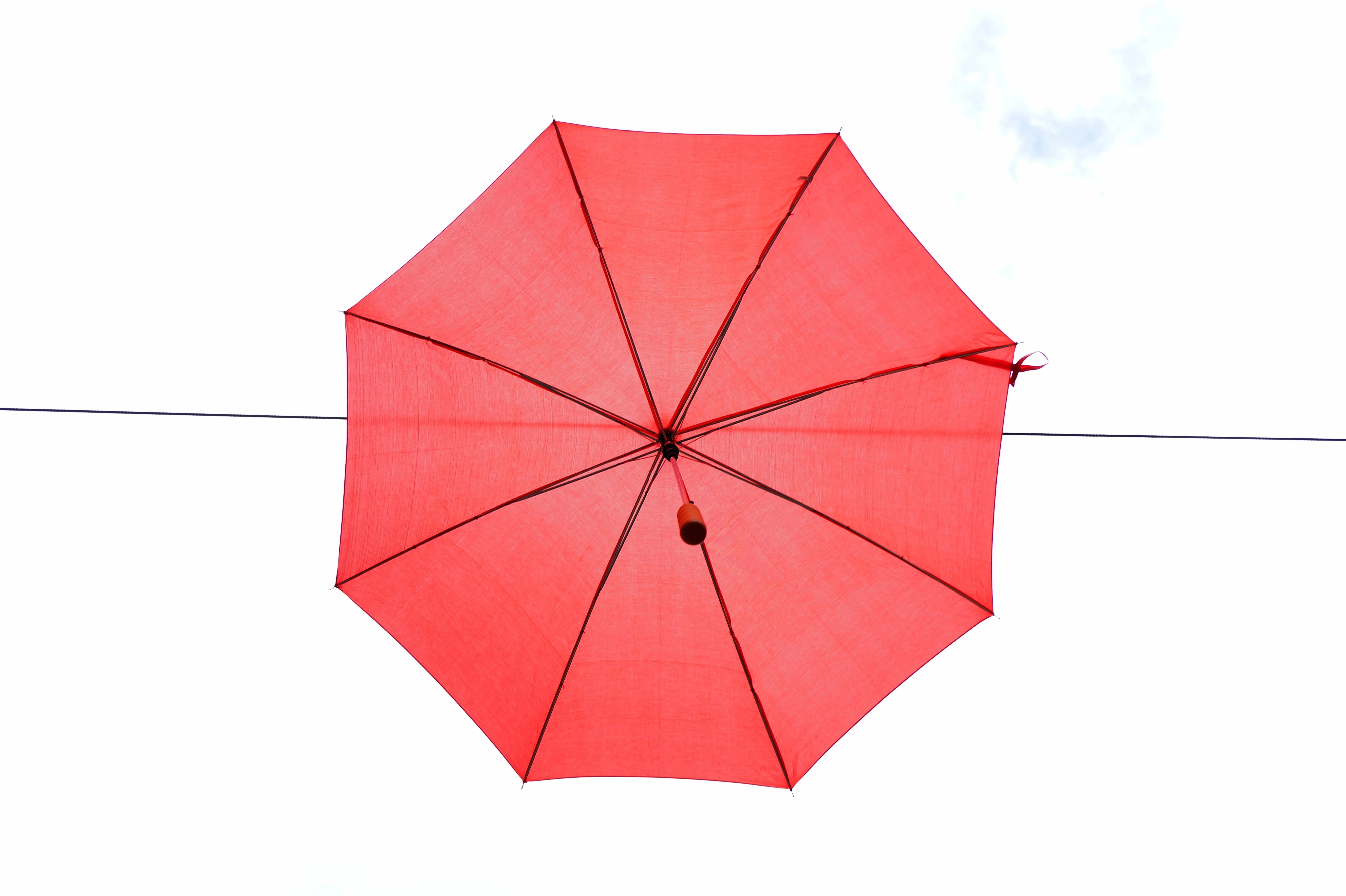 Nonprofit Case Study: GreenShield Canada